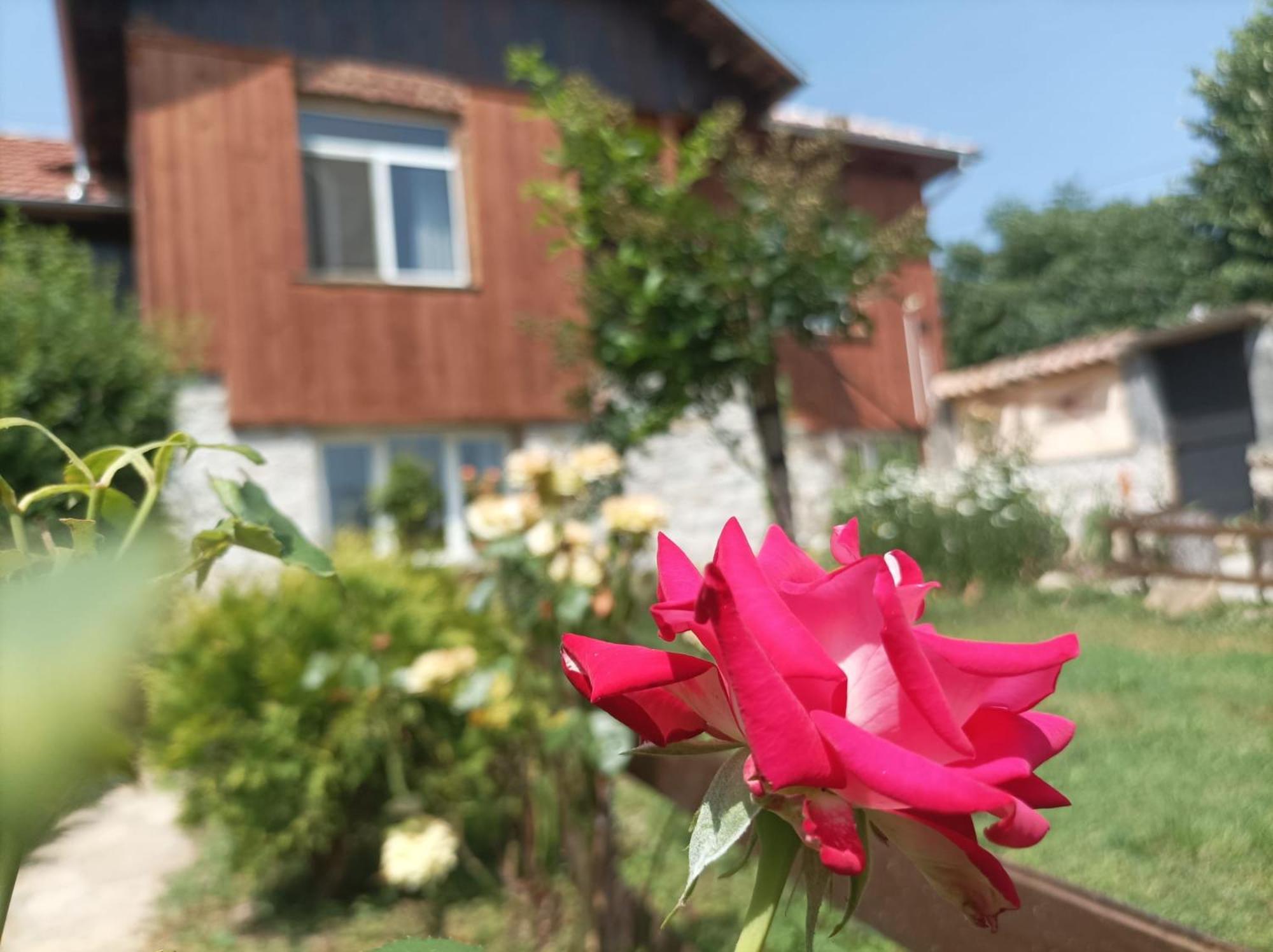 Villa Nina In Kramolin Zewnętrze zdjęcie